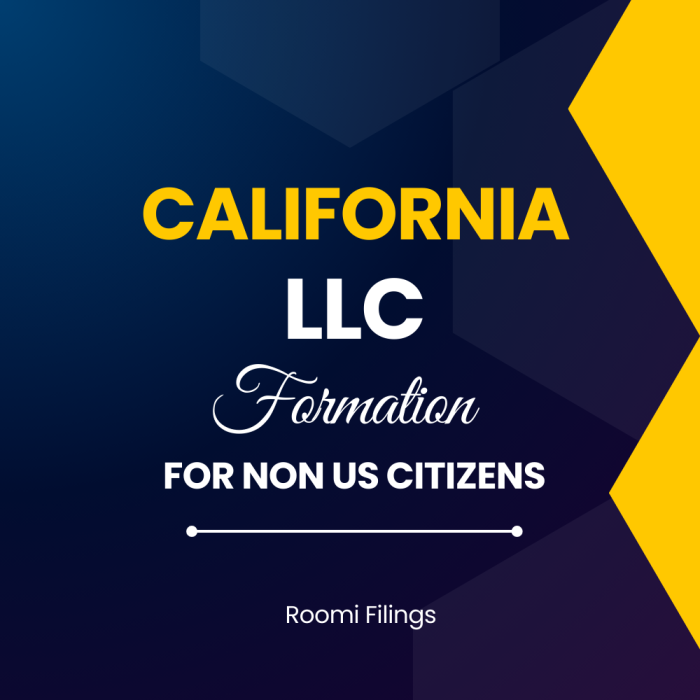 "California LLC Formation for Non-US Citizens - Streamlined Setup by Roomi Filings"