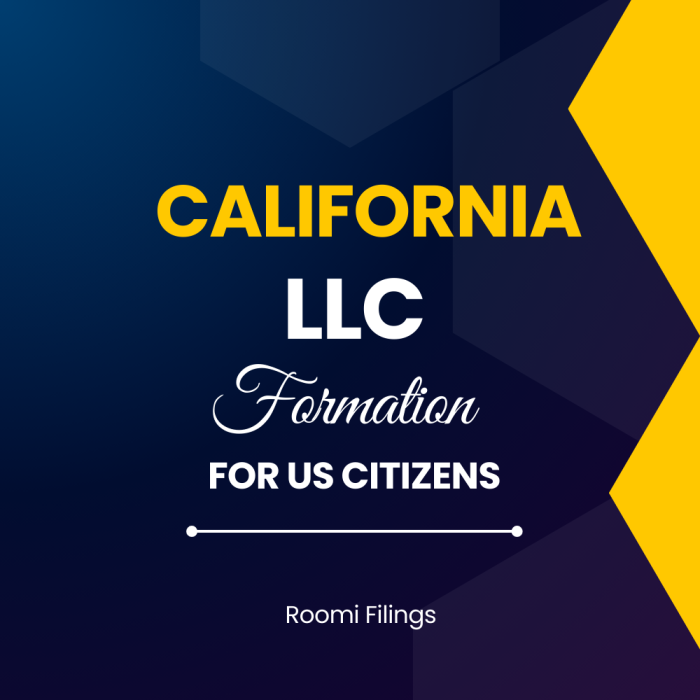 California LLC Formation for US Citizens – Roomi Filings