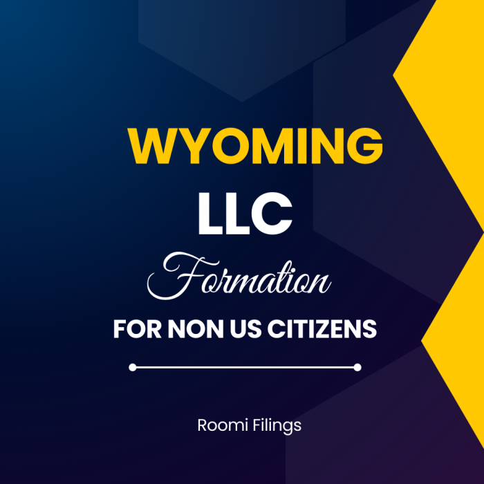 Wyoming LLC Formation for Non-US Citizens - Streamline Your Business with Roomi Filings